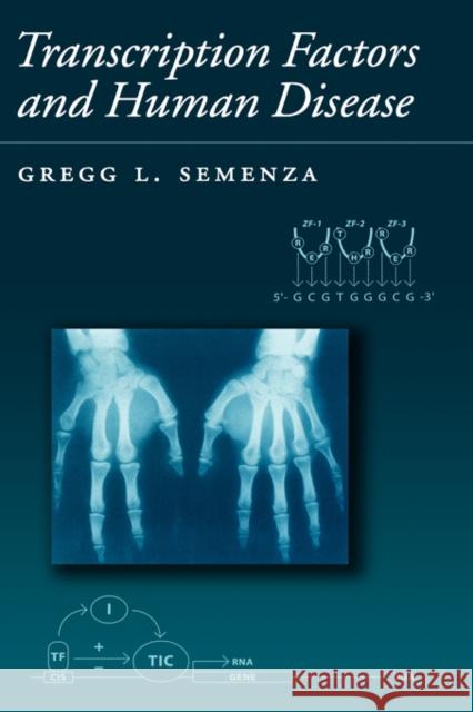 Transcription Factors and Human Genetic Disease Semenza, Gregg L. 9780195112399 Oxford University Press - książka