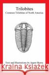 Trilobites: Common Trilobites of North America (a Natureguide Book) Jasper Burns 9781478357940 Createspace