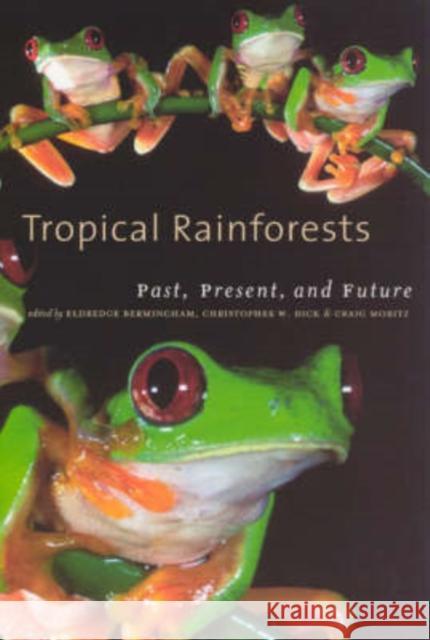 Tropical Rainforests: Past, Present, and Future Eldredge Bermingham Christopher Dick Craig Moritz 9780226044682 University of Chicago Press - książka
