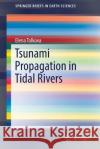 Tsunami Propagation in Tidal Rivers Elena Tolkova 9783319732862 Springer