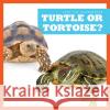 Turtle or Tortoise? Jamie Rice N/A 9781636903521 Bullfrog Books