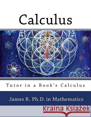 Tutor in a Book's Calculus James R 9781514811924 Createspace Independent Publishing Platform - książka