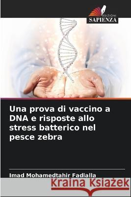 Una prova di vaccino a DNA e risposte allo stress batterico nel pesce zebra Imad Mohamedtahir Fadlalla 9786205265734 Edizioni Sapienza - książka