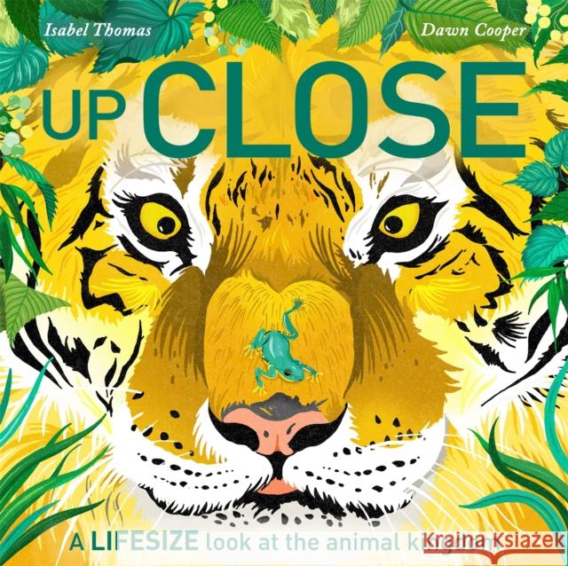 Up Close: A life-size look at the animal kingdom ISABEL THOMAS 9781526363244 Hachette Children's Group - książka