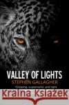 Valley of Lights Stephen Gallagher   9780995797345 Brooligan Press