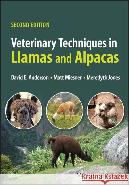 Veterinary Techniques in Llamas and Alpacas 2nd Ed ition Anderson 9781119860617 John Wiley and Sons Ltd - książka