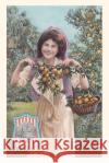 Vintage Journal Florida's Fairest Fruit Found Image Press   9781669520252 Found Image Press