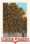 Vintage Journal Orange Trees Found Image Press   9781669519867 Found Image Press