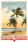 Vintage Journal Palm Trees, Miami Beach, Florida Found Image Press   9781669518907 Found Image Press