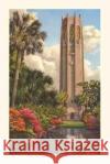 Vintage Journal Singing Tower, Lake Wales, Florida Found Image Press   9781669517931 Found Image Press