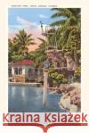 Vintage Journal Venetian Pool, Coral Gables, Florida Found Image Press   9781669517740 Found Image Press