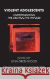 Violent Adolescents: Understanding the Destructive Impulse Greenwood, Lynn 9780367329587 Taylor and Francis