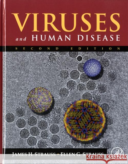 Viruses and Human Disease James H. Strauss Ellen G. Strauss 9780123737410 Academic Press - książka