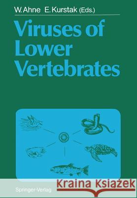 Viruses of Lower Vertebrates Winfried Ahne Edouard Kurstak 9783642837296 Springer - książka