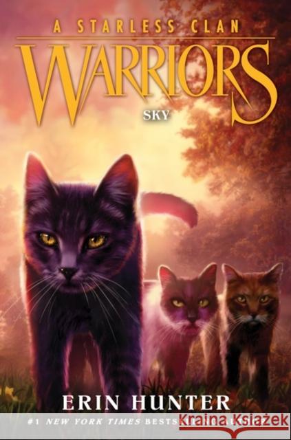 Warriors: A Starless Clan #2: Sky Erin Hunter 9780063050150 HarperCollins Publishers Inc - książka