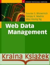 Web Data Management: A Warehouse Approach Sourav S. Bhowmick Sanjay K. Madria Wee Keong Ng 9780387001753 Springer - książka