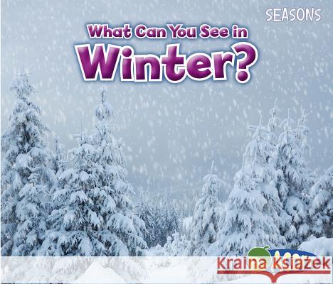 What Can You See in Winter? Sian Smith 9781484603567 Acorn - książka