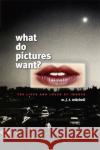 What Do Pictures Want?: The Lives and Loves of Images Mitchell, W. J. T. 9780226532486 University of Chicago Press