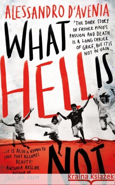 What Hell Is Not D'Avenia, Alessandro 9781786076830 Oneworld Publications - książka