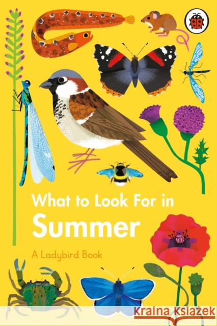 What to Look For in Summer Elizabeth Jenner 9780241416204 Penguin Random House Children's UK - książka