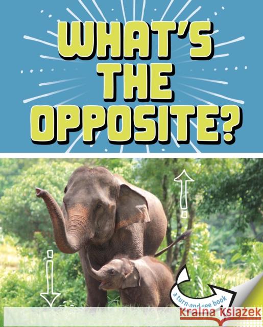What's the Opposite?: A Turn-and-See Book Cari Meister 9781398215757 Capstone Global Library Ltd - książka