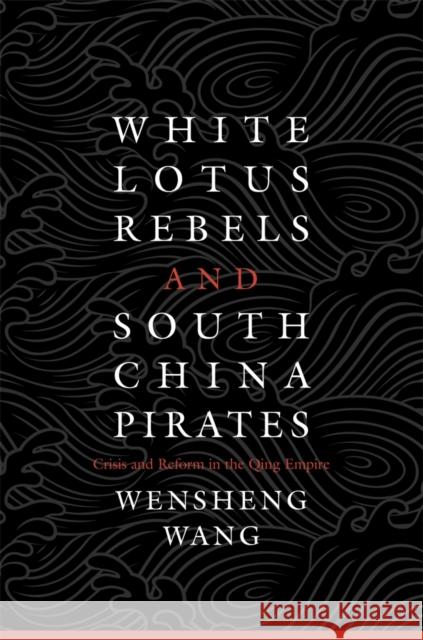 White Lotus Rebels and South China Pirates Wang 9780674725317  - książka