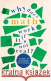 Why Does Math Work ... If It's Not Real? Dragan (Florida Atlantic University) Radulovic 9781316511923 Cambridge University Press
