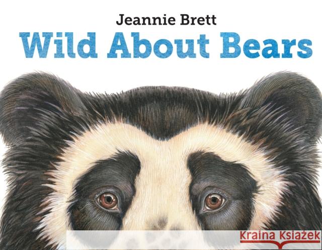 Wild About Bears Jeannie Brett 9781580894180 Charlesbridge Publishing,U.S. - książka