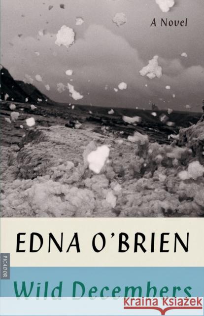 Wild Decembers Edna O'Brien 9780374538750 Picador USA - książka