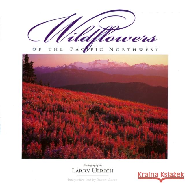 Wildflowers of the Pacific Northwest Larry Ulrich Larry Ulrich Susan Lamb 9780944197585 Companion Press (Santa Barbara, CA) - książka