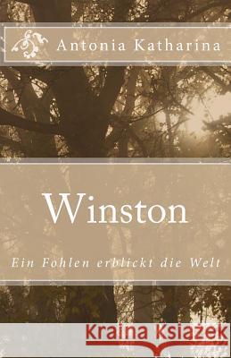 Winston: Ein Fohlen erblickt die Welt Tessnow, Antonia Katharina 9781502923882 Createspace - książka