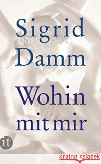 Wohin mit mir Damm, Sigrid 9783458359753 Insel Verlag - książka