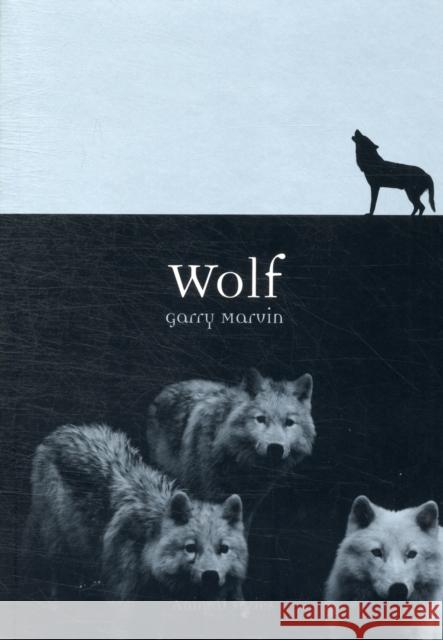 Wolf Garry Marvin 9781861898791 REAKTION BOOKS - książka