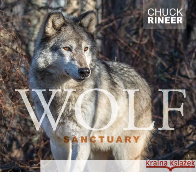 Wolf Sanctuary: The Wolves of Speedwell Forge Chuck Rineer 9780764354908 Schiffer Publishing - książka