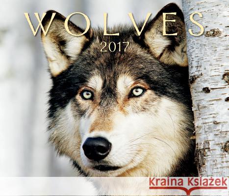 Wolves 2017 Firefly Books 9781770856851 Firefly Books Ltd - książka