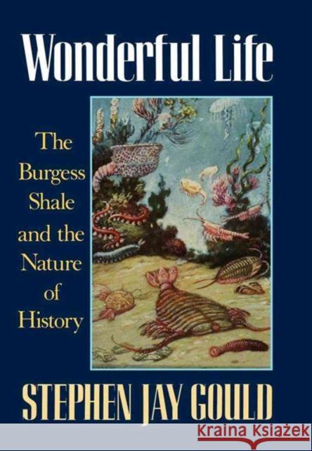 Wonderful Life: The Burgess Shale and the Nature of History Stephen Jay Gould 9780393027051 W. W. Norton & Company - książka