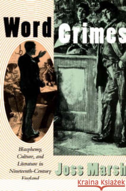 Word Crimes: Blasphemy, Culture, and Literature in Nineteenth-Century England Marsh, Joss 9780226506913 University of Chicago Press - książka