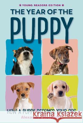 Year of the Puppy: How a Puppy Becomes Your Dog Alexandra Horowitz 9780593351307 Viking Books for Young Readers - książka