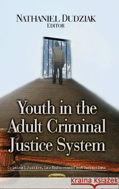 Youth in the Adult Criminal Justice System Nathaniel Dudziak 9781626180093 Nova Science Publishers Inc - książka