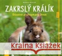 Zakrslý králík - Jak na to Monika Weglerová 9788072369157 Vašut - książka