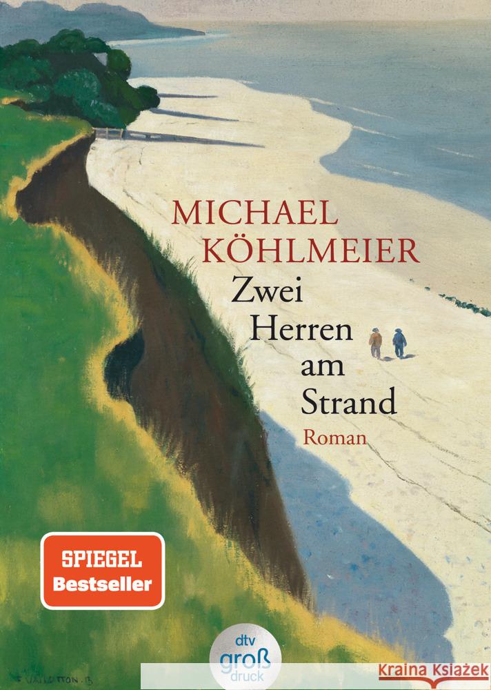 Zwei Herren am Strand Köhlmeier, Michael 9783423254458 DTV - książka