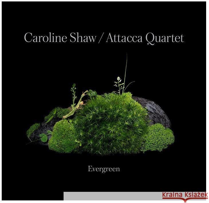 Evergreen, 1 Audio-CD Shaw, Caroline, Attacca Quartet 0075597913507 Warner