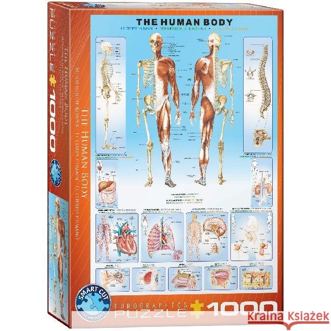 The Human Body Eurographics 0628136610001