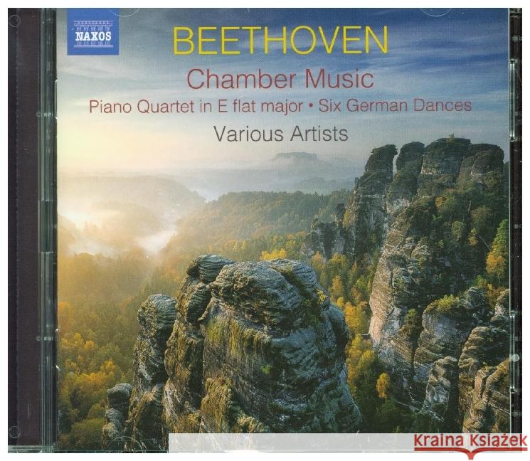 Kammermusik, 2 Audio-CD Beethoven, Ludwig van 0747313404070 Naxos