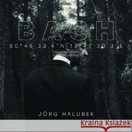 Bach:Organ Landscapes VIII (Steinberg,Geising), 2 Audio-CD Bach, Johann Sebastian 0885470032856