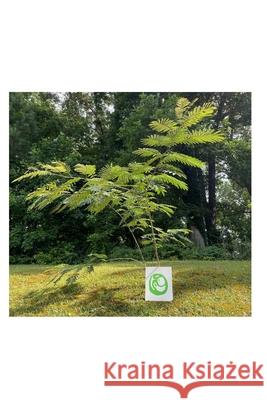 0: The Journey Back To Self Eze Sanabria 9798542541563 Independently Published - książka