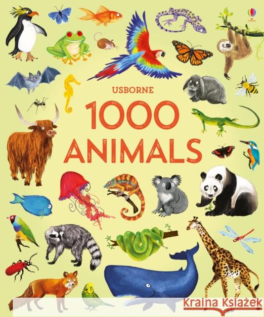 1000 Animals Greenwell, Jessica 9781474951340 Usborne Publishing Ltd - książka