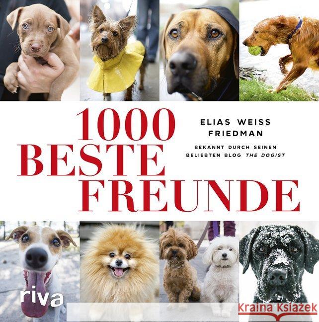 1000 beste Freunde Friedman, Elias Weiss 9783742311573 riva Verlag - książka