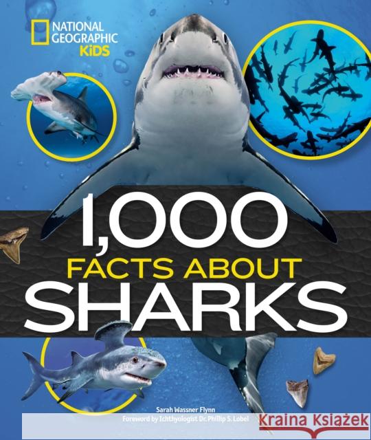 1,000 Facts About Sharks Sarah Wassner Flynn 9781426371745 National Geographic Kids - książka