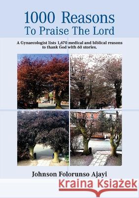 1000 Reasons to Praise the Lord Johnson Ajayi   9781911697213 Kingdom Publishers - książka